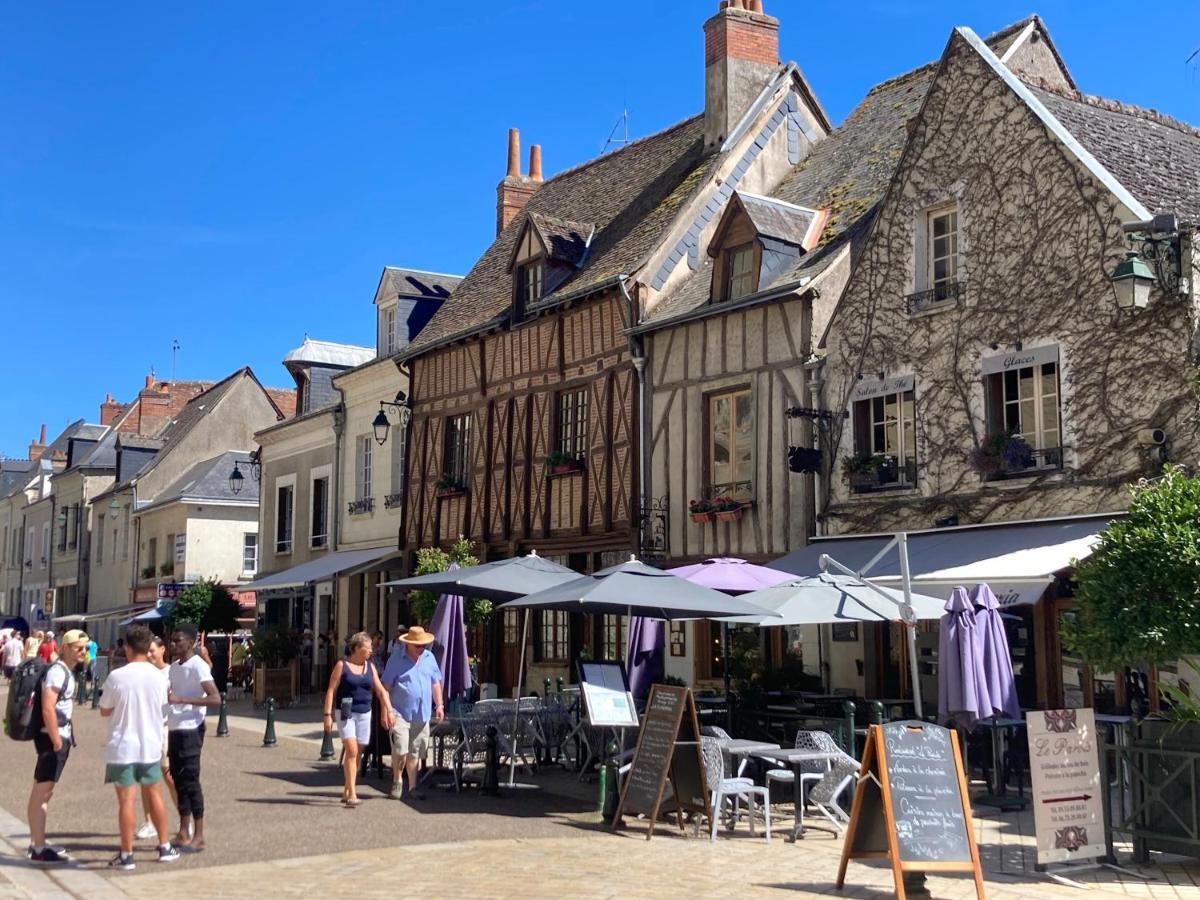 L'Amboisienne, Au Pays Des Chateaux Amboise Eksteriør billede